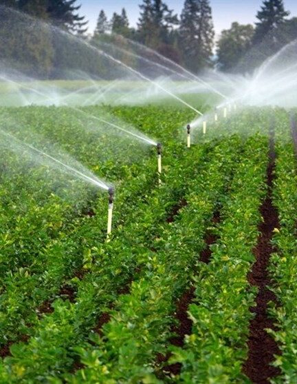 وزارت جهاد کشاورزی ۲۷۳ طرح در دهه فجر افتتاح می‌کند
