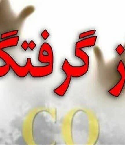 فوت ۸۲ نفر در تهران به دلیل مسمومیت ناشی از گاز مونواکسید کربن طی ۱۰ ماه