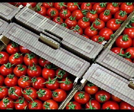 قیمت تمام شده محصولات کشاورزی برای تولیدکننده در پاییز چقدر بود؟