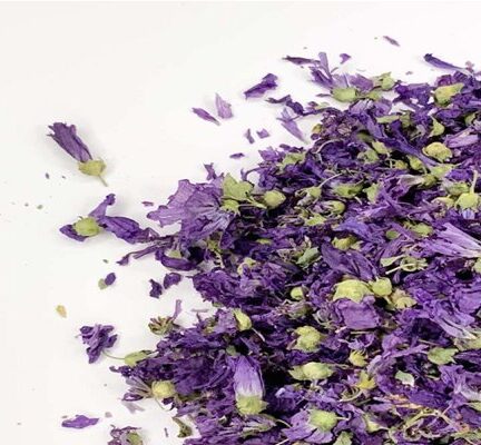 خواص شگفت‌انگیز پنیرک؛ گیاه دارویی با قدمت هزار ساله