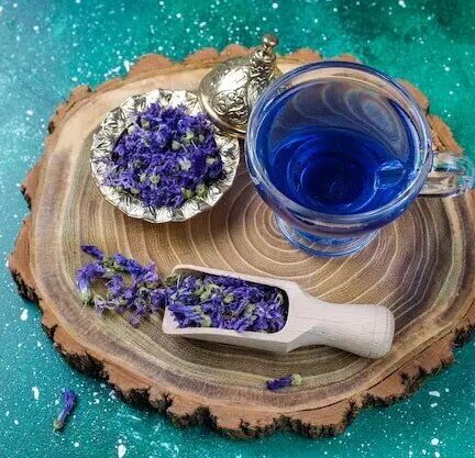 گلی با خواص شفابخشی