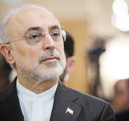 علی‌اکبر صالحی رئیس جدید بنیاد ایران‌شناسی شد