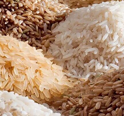 ۲۰۰ هزار تن برنج در انتظار مجوز ترخیص