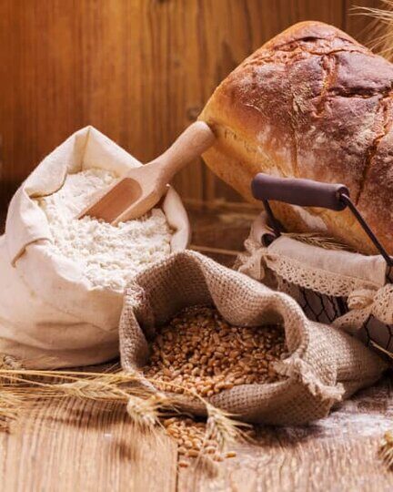 خرید گندم کیفی باید در دستور کار قرار گیرد