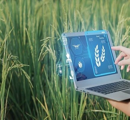 تمرکز دانش بنیان‌ها بر تولید بذور فناورانه و کشاورزی هوشمند دیجیتال